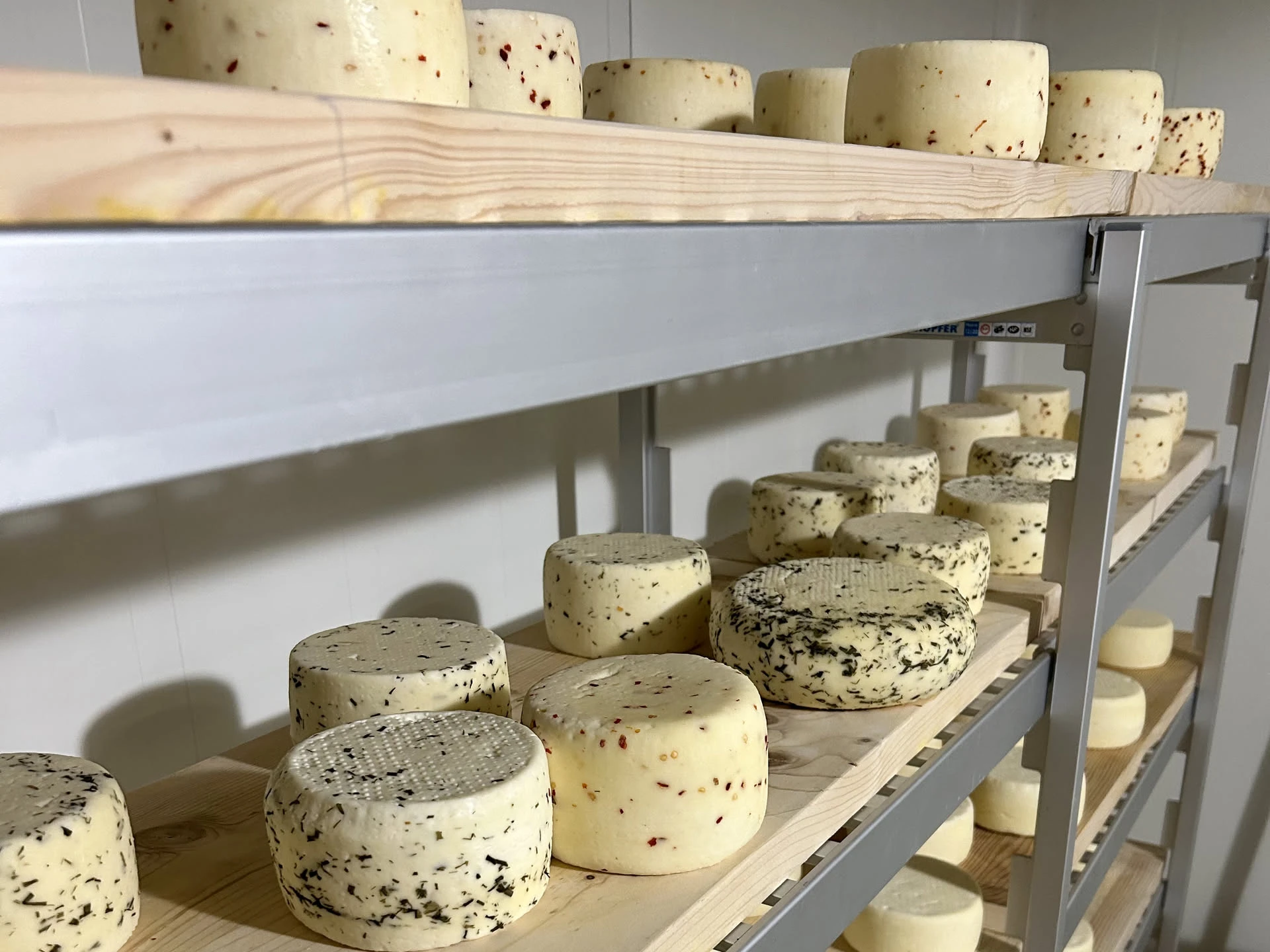 Forme di formaggio aromatizzate alle erbe e al peperoncino sulle assi della cella di stagionatura