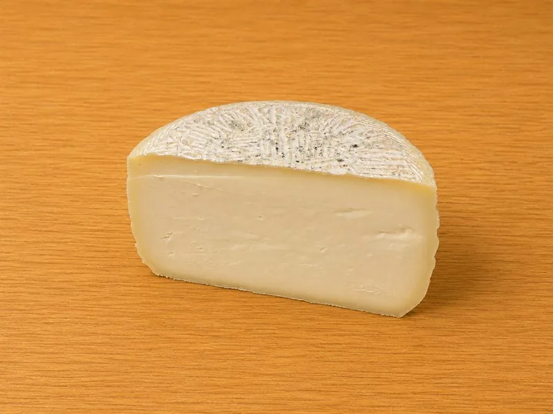 Forma di giuncata tagliata a metà